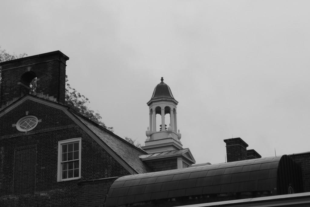 Mary Anne Porto '16